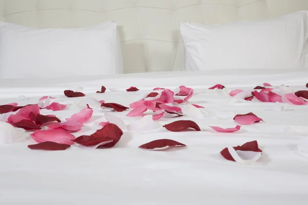 Номер с большой кроватью и красными цветами — стоковое фото