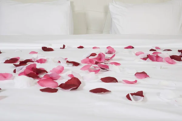 Hotel room with big bed and red flowers — Stock Photo, Image