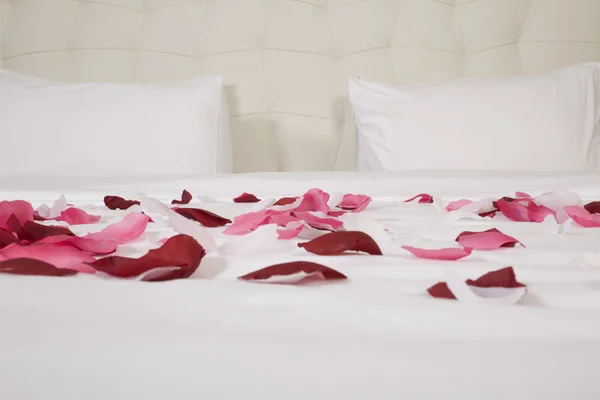 Hotel room with big bed and red flowers — Stock Photo, Image