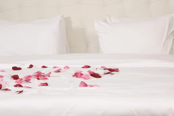 Номер с большой кроватью и красными цветами — стоковое фото