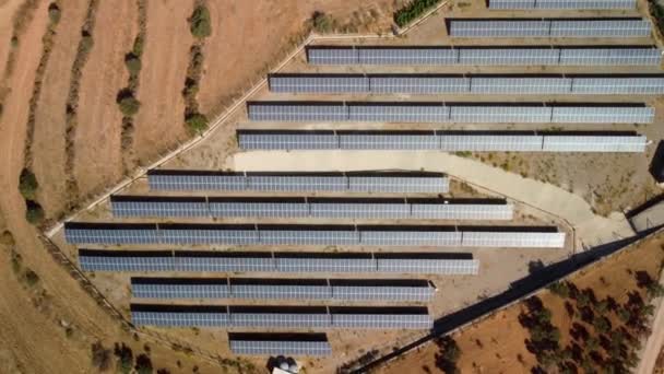 Αεροφωτογραφία ηλιακής φάρμας στο χωράφι. Πετώντας πάνω από πολλούς ηλιακούς συλλέκτες στη σειρά. Καλοκαιρινή μέρα, μονάδα ηλιακής ενέργειας. Οικολογική καθαρή ενέργεια. Εναλλακτικός ηλιακός σταθμός. — Αρχείο Βίντεο