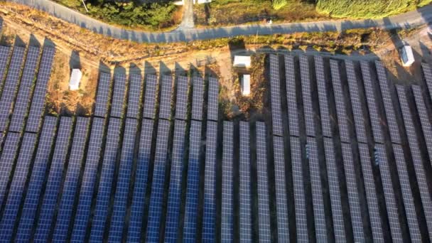 Légi felvétel egy napfarmról a mezőn. Egymás után több napelem felett repül. Nyári nap, napenergia erőmű. Ökológiai tiszta energia. Alternatív naperőmű. — Stock videók