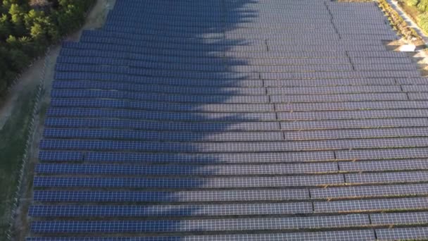 Vista aérea de una granja solar en el campo. Volando sobre muchos paneles solares en una fila. Día de verano, planta de energía solar. Energía limpia ecológica. Estación solar alternativa. — Vídeos de Stock