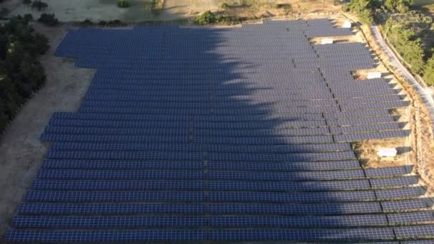 Luchtfoto van een zonneboerderij op het veld. Vliegen over vele zonnepanelen op een rij. Zomerdag, zonne-energie centrale. Ecologische schone energie. Alternatieve zonnecentrale. — Stockvideo