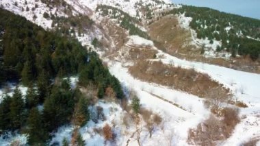 Karanlık orman, karla kaplı kara ve sis bulutları, Odemis izmir Türkiye.