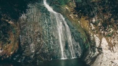 Güzel şelale yeşil yosunlu kayalar üzerinde. Kayalık yol vahşi orman arasında akan su akışı. Vahşi dağ şelale manzarası. Vahşi şelale kayalar