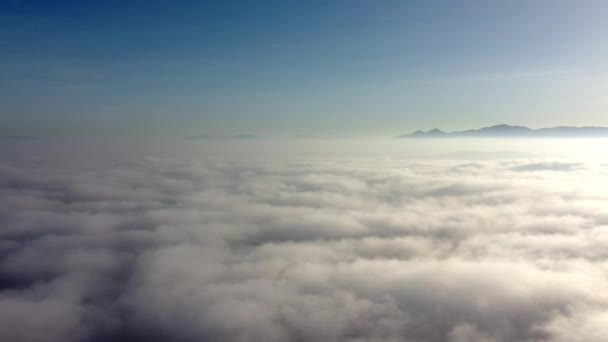 Flygfoto fågelutsikt rör sig lågt över molnen flyga bakåt från ljus sol och skarp blå himmel visar tjocka moln under vacker himmel och fantastisk bakgrundskontrast under himlen atmosfär — Stockvideo