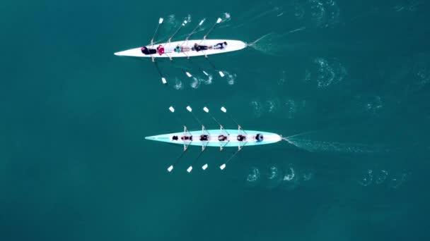Aerial drone birds eye view video of two sport canoe operated by team of young men and women — Stock Video