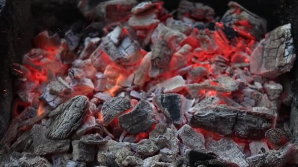 バーベキューグリルで赤有機炭の質感を燃焼 高品質のフルHd映像 — ストック動画