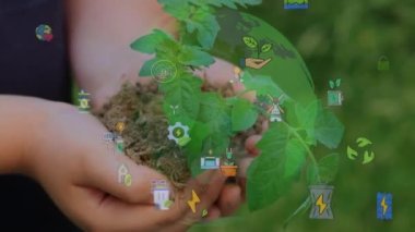 Genç meşe ağacının fidanını tutarken ellerinizi kapatın. Palmiyeler toprağı sarıyor küçük bir ağaç. Bulanık yeşil arka plan, siyah gömlek. Konsept doğa koruma, Dünya koruma, yeniden ağaçlandırma. Yüksek