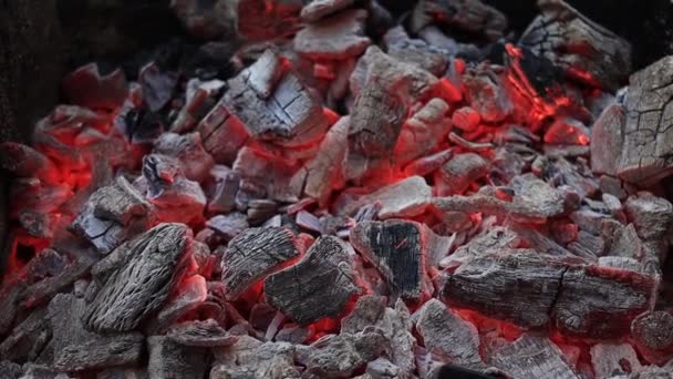 Сжигание Красного Органического Древесного Угля Гриле Барбекю Высококачественные Fullhd Кадры — стоковое видео