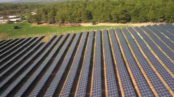 Widok Powietrza Farmę Słoneczną Zielonym Polu Latanie Nad Wieloma Panelami — Wideo stockowe