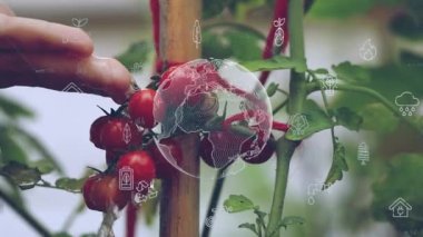 Gelecekteki çevresel koruma ve sürdürülebilir ESG modernizasyon gelişimi yenilenebilir kaynak teknolojisini kullanarak kirliliği ve karbon emisyonunu azaltmak. Yüksek kaliteli FullHD görüntüler