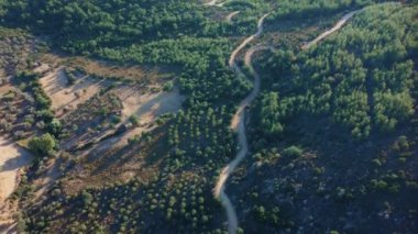 Birçok tarla, tarım arazisi, tarım arazisi, deniz ve dağ arka planında uçuyor. Yüksek kalite 4k görüntü