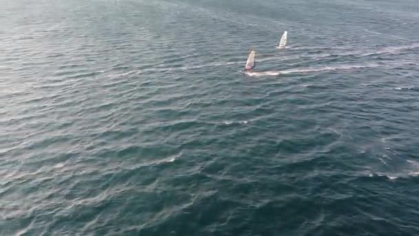 Wind Surf Turkije Alacati Surf Paradise Hoge Kwaliteit Beeldmateriaal — Stockvideo