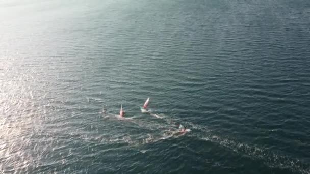 Wind Surf Turquie Alacati Surf Paradise Images Haute Qualité — Video