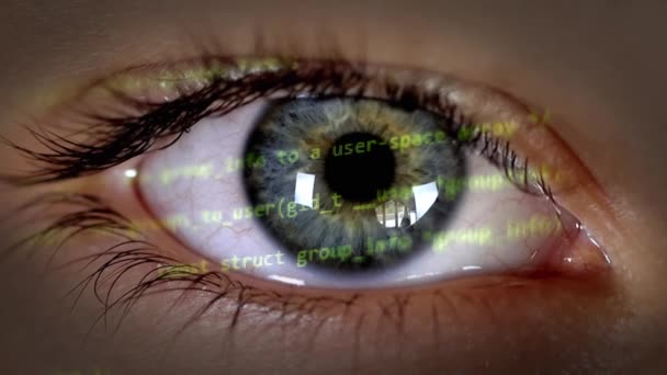 Développeur Futuriste Avec Hologramme Code Images Haute Qualité — Video