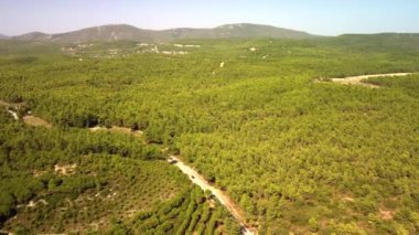 Birçok tarla, tarım arazisi, tarım arazisi, deniz ve dağ arka planında uçuyor. Yüksek kalite 4k görüntü