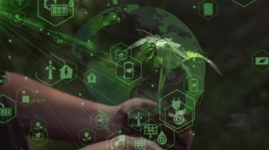 Genç meşe ağacının fidanını tutarken ellerinizi kapatın. Palmiyeler toprağı sarıyor küçük bir ağaç. Bulanık yeşil arka plan, siyah gömlek. Konsept doğa koruma, Dünya koruma, yeniden ağaçlandırma. Yüksek