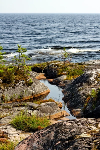 Ladoga-Ufer — Stockfoto