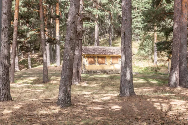 Casa Rural Cercada Por Muitas Árvores Lugar Ideal Para Relaxar — Fotografia de Stock