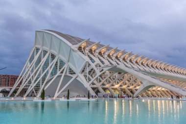 Valencia, İspanya - Aug 2021: Valencia İspanya 'daki bilim ve sanat şehrinde yarımküre binası. Modern ve gelecekçi mimari. Avrupa