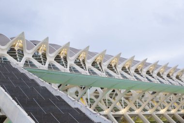 Sanat Şehri Yazarı Santiago Calatrava Valencia, İspanya Avrupa