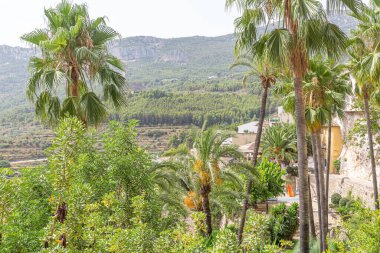 Castell de Guadalest ya da kısaca Guadalest, aynı adı taşıyan Aicante vadisinde yer alan küçük ve güzel bir ortaçağ kasabasıdır..