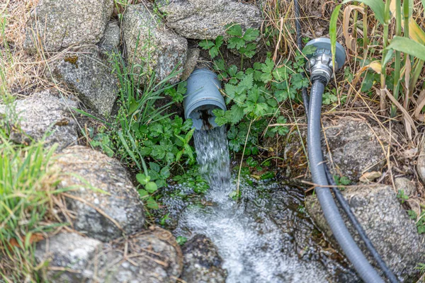 Tarım alanının sulanması için nehirden akan boru suyu.