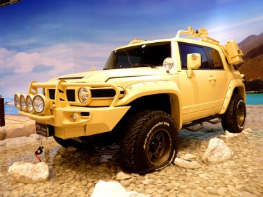 Toyota fj cruiser çöl