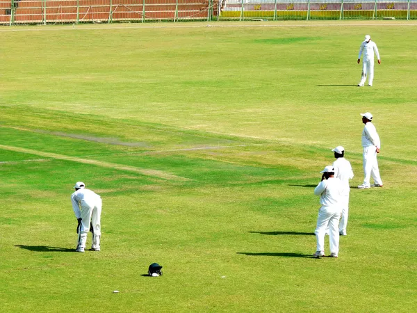 Cricket Match