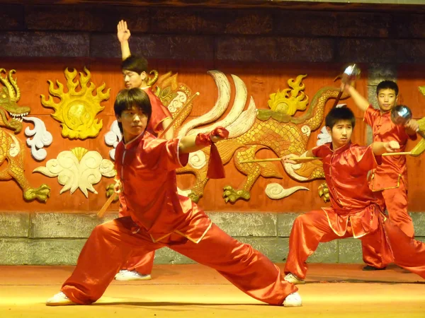 Chinesischer Kampfkünstler auf der Bühne — Stockfoto