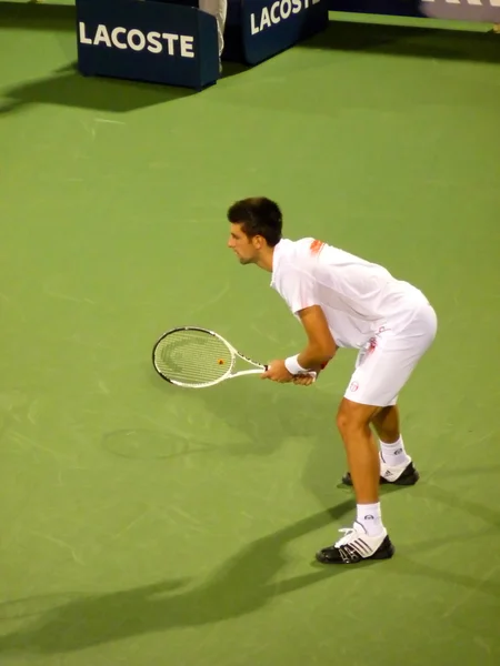 Novak Djokovic — Foto de Stock