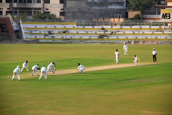 Cricketers en action — Photo