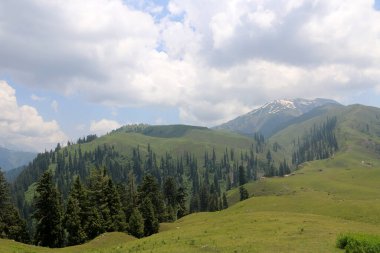 Shogran Siri Paye Meadows Pakistan 'ın kuzeyindeki Kaghan Vadisi' nde yeşil bir düzlemde kurulmuş bir duraktır..