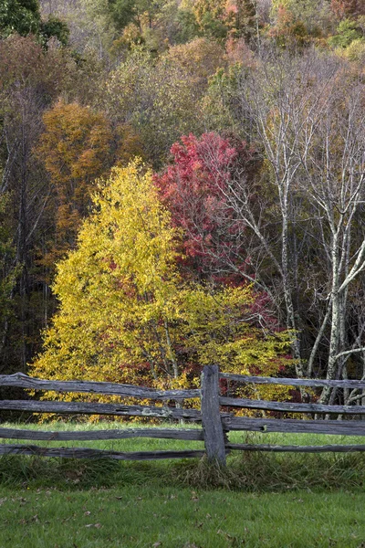 Herbstbäume und gespaltener Bahnzaun — Stockfoto