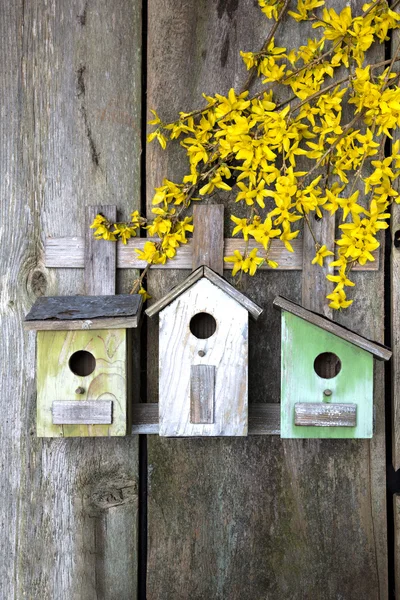 Birdhouse op oude houten hek Stockfoto