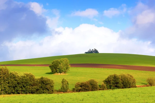 Zomer landschap — Stockfoto