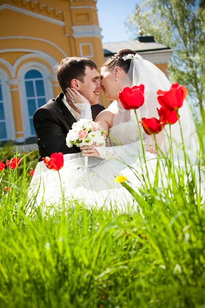 Frisch verheiratetes Paar küsst sich auf Rasen — Stockfoto