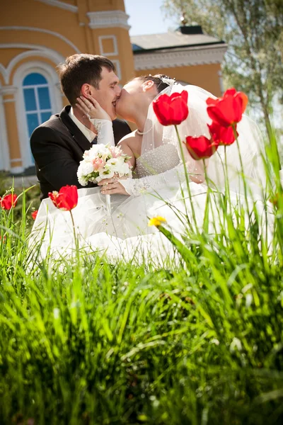 Nieuw echtpaar zoenen op flowerbed — Stockfoto