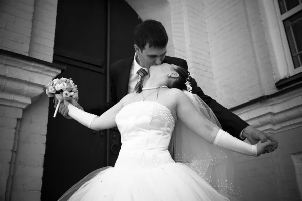 Groom kissing bride from back — Stock Photo, Image