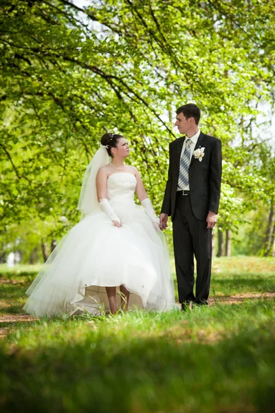 Novomanželům pár stojí na trávníku v parku — Stock fotografie