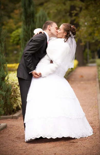 結婚されていたカップルが公園でキス — ストック写真