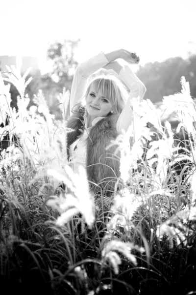 Foto van sexy vrouw poseren in veld — Stockfoto