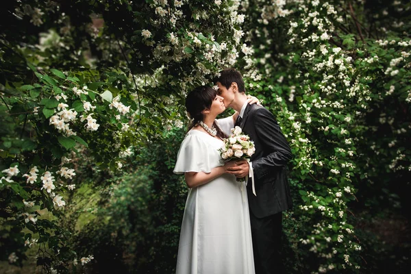 Noiva e noivo beijando contra arbusto grande com flores — Fotografia de Stock