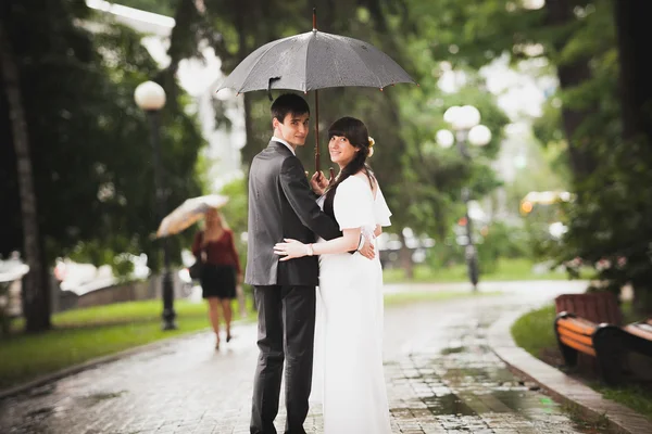 Pareja recién casada caminando en parque bajo la lluvia —  Fotos de Stock