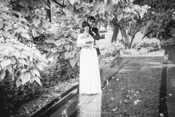 Married couple hugging under tree in rainy weather — Stock Photo, Image