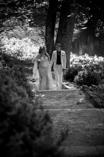 Casal recém-casado subindo as escadas — Fotografia de Stock