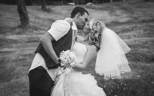 Handsome groom passionately kissing bride in park — Stock Photo, Image