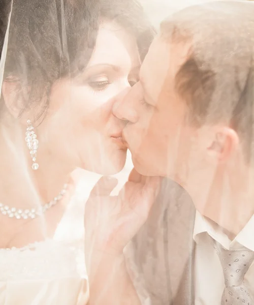 Bruid en bruidegom kussen onder sluier — Stockfoto